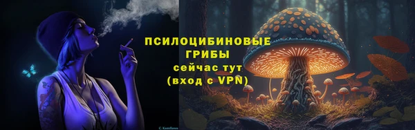 тгк Слюдянка