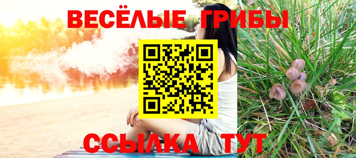 Галлюциногенные грибы MAGIC MUSHROOMS Новотроицк